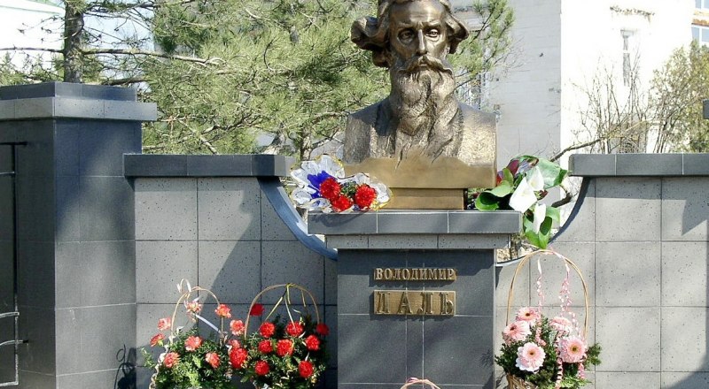 Цветы Далю. Фото Виктории Струниной. 