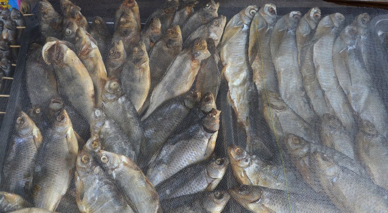 Фото Александра КАДНИКОВА.
