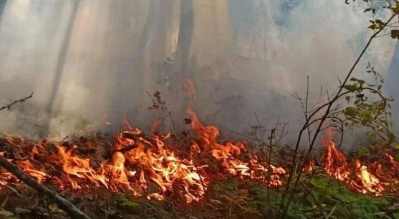 Фото: МЧС России по Республике Крым