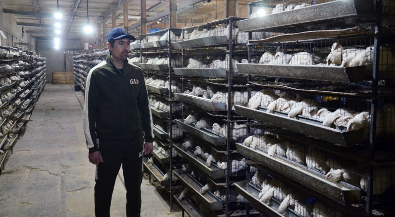 Практически все отрасли сельского хозяйства получили господдержку.