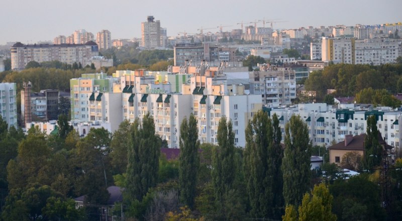 Фото Александра Кадникова.
