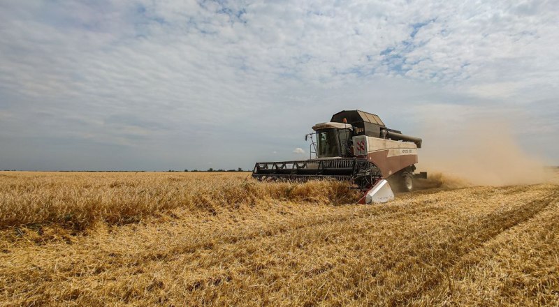 Фото пресс-службы главы РК.