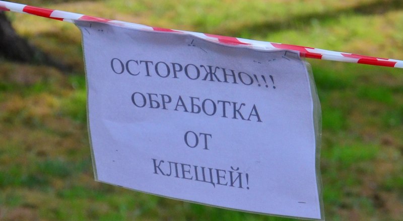 Скоро будет потепление, и клещи снова выползут на охоту.