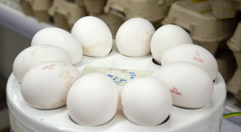 В течение этого года яйца стали дороже на 24%.
