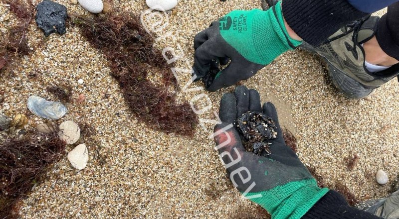 Фото пресс-службы губернатора Севастополя.