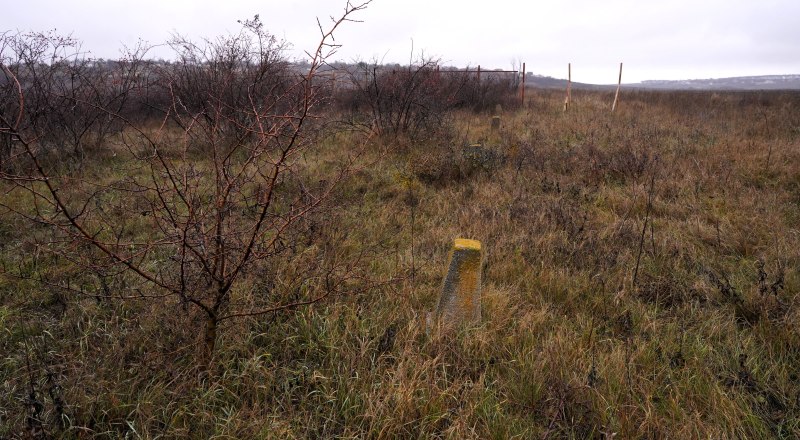 Тот самый ров, уже заросший, но помнящий страшные дни.