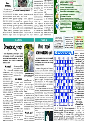 Четвёртая полоса